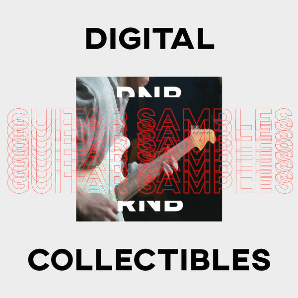 Digital Collectibles RNB Guitar Samples